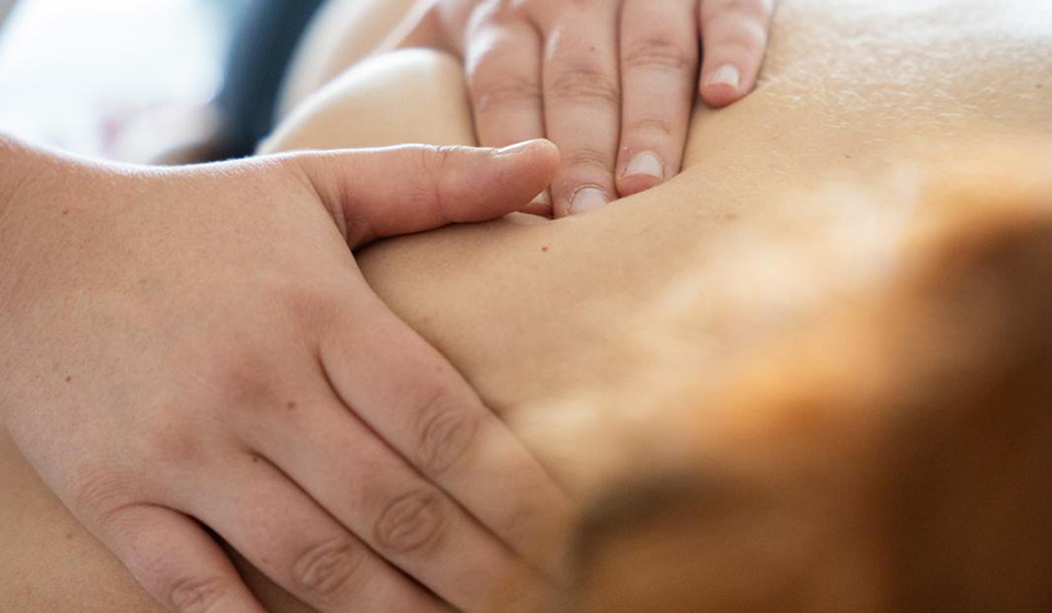 massage therapie physio lauenburg
